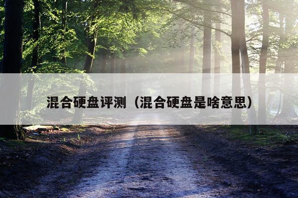混合硬盘评测（混合硬盘是啥意思）