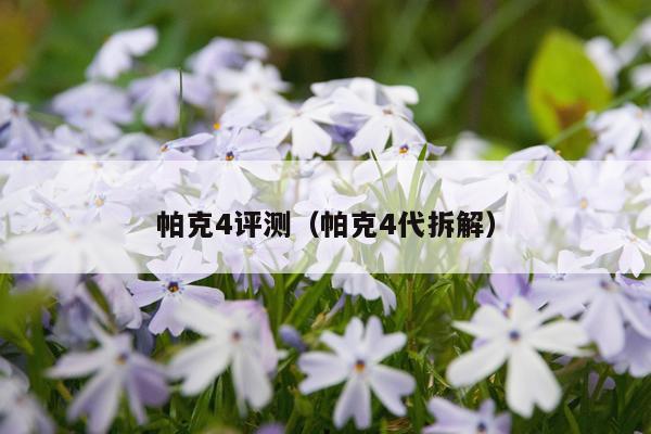 帕克4评测（帕克4代拆解）