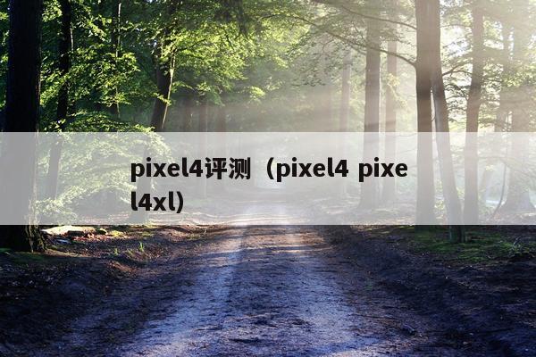 pixel4评测（pixel4 pixel4xl）
