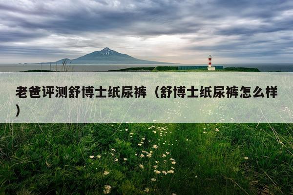 老爸评测舒博士纸尿裤（舒博士纸尿裤怎么样）