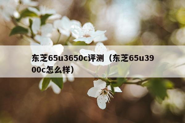 东芝65u3650c评测（东芝65u3900c怎么样）