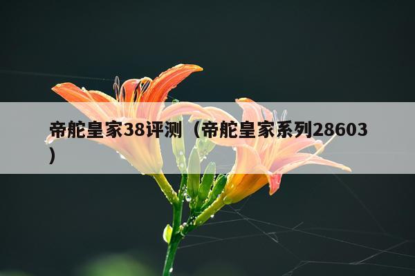 帝舵皇家38评测（帝舵皇家系列28603）