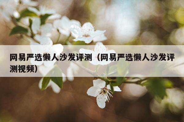 网易严选懒人沙发评测（网易严选懒人沙发评测视频）