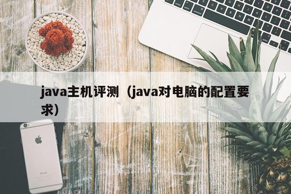 java主机评测（java对电脑的配置要求）