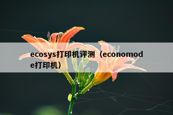ecosys打印机评测（economode打印机）