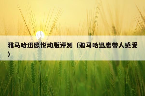 雅马哈迅鹰悦动版评测（雅马哈迅鹰带人感受）
