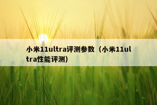 小米11ultra评测参数（小米11ultra性能评测）