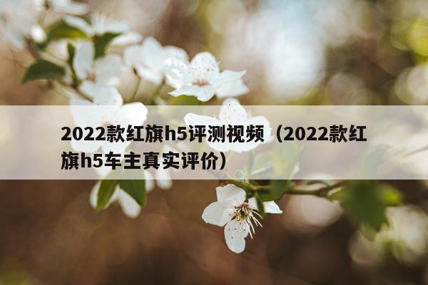 2022款红旗h5评测视频（2022款红旗h5车主真实评价）