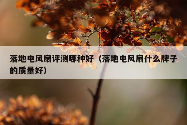 落地电风扇评测哪种好（落地电风扇什么牌子的质量好）