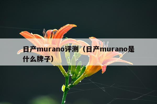 日产murano评测（日产murano是什么牌子）