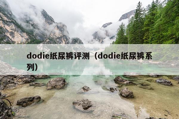 dodie纸尿裤评测（dodie纸尿裤系列）
