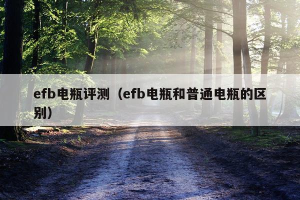 efb电瓶评测（efb电瓶和普通电瓶的区别）