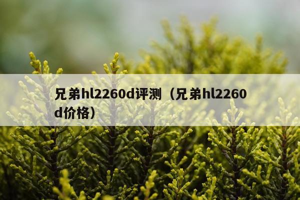 兄弟hl2260d评测（兄弟hl2260d价格）