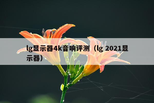 lg显示器4k音响评测（lg 2021显示器）