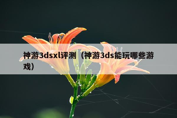 神游3dsxl评测（神游3ds能玩哪些游戏）