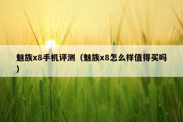 魅族x8手机评测（魅族x8怎么样值得买吗）