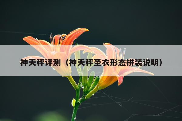 神天秤评测（神天秤圣衣形态拼装说明）