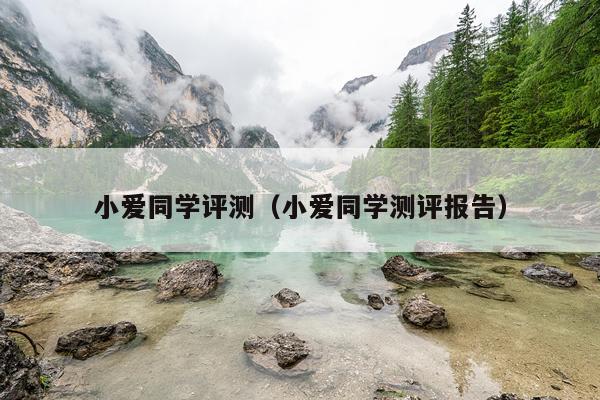 小爱同学评测（小爱同学测评报告）