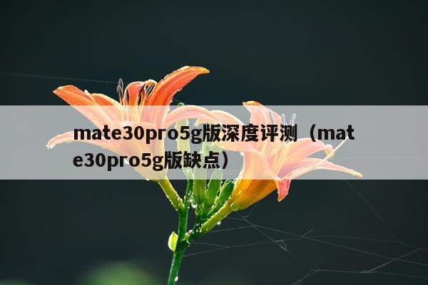 mate30pro5g版深度评测（mate30pro5g版缺点）