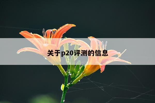 关于p20评测的信息