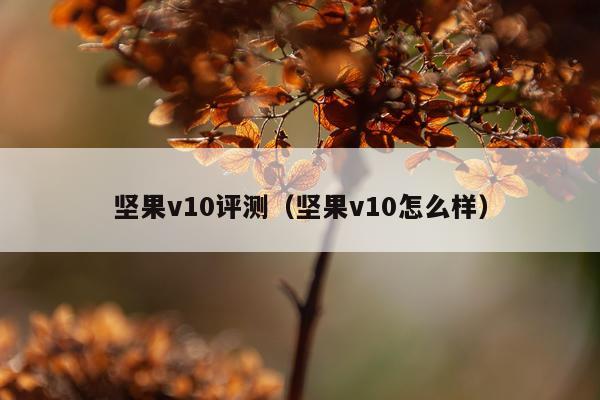 坚果v10评测（坚果v10怎么样）