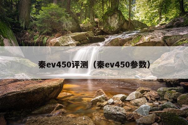 秦ev450评测（秦ev450参数）