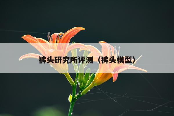 裤头研究所评测（裤头模型）