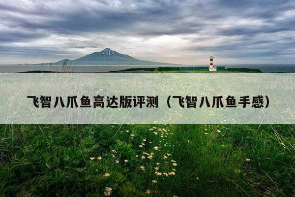 飞智八爪鱼高达版评测（飞智八爪鱼手感）