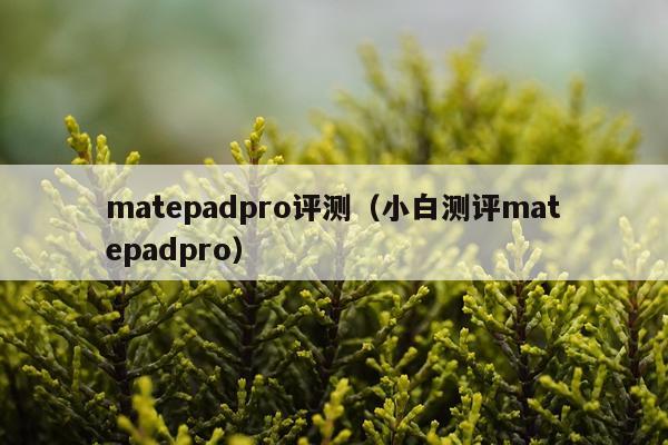 matepadpro评测（小白测评matepadpro）