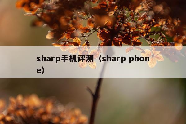 sharp手机评测（sharp phone）