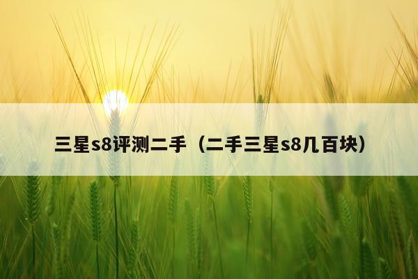三星s8评测二手（二手三星s8几百块）