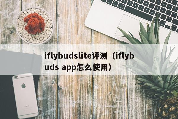 iflybudslite评测（iflybuds app怎么使用）
