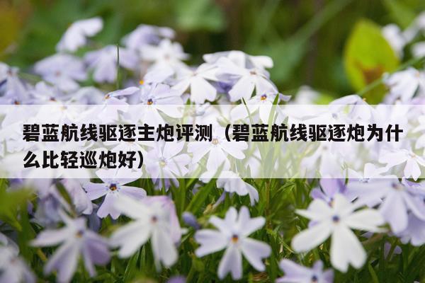 碧蓝航线驱逐主炮评测（碧蓝航线驱逐炮为什么比轻巡炮好）