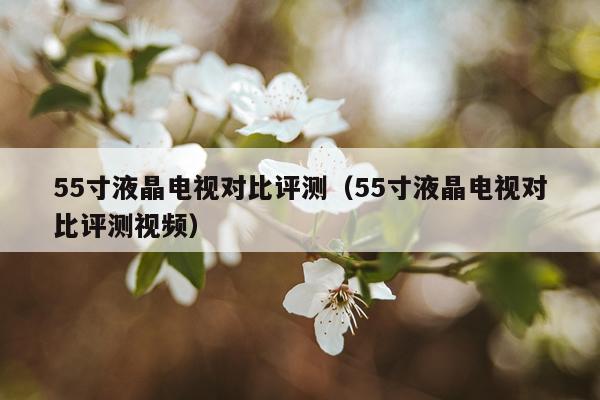 55寸液晶电视对比评测（55寸液晶电视对比评测视频）