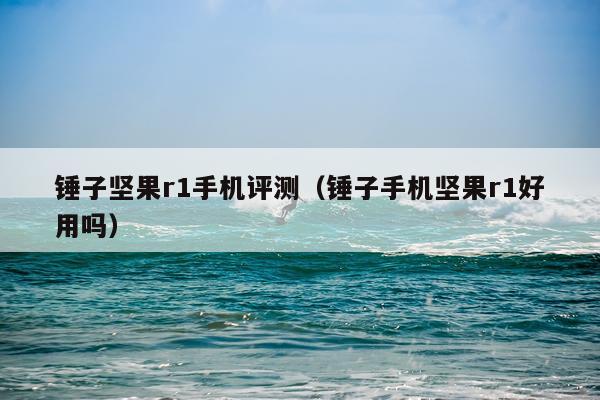 锤子坚果r1手机评测（锤子手机坚果r1好用吗）