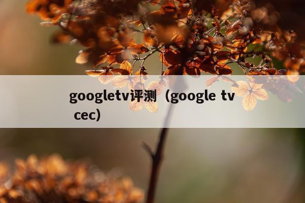 googletv评测（google tv cec）