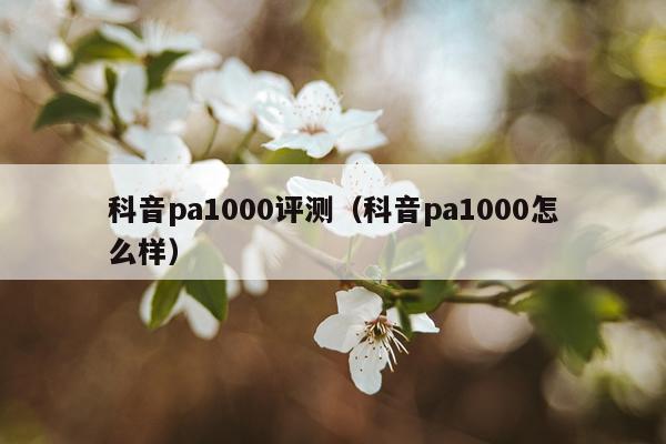 科音pa1000评测（科音pa1000怎么样）