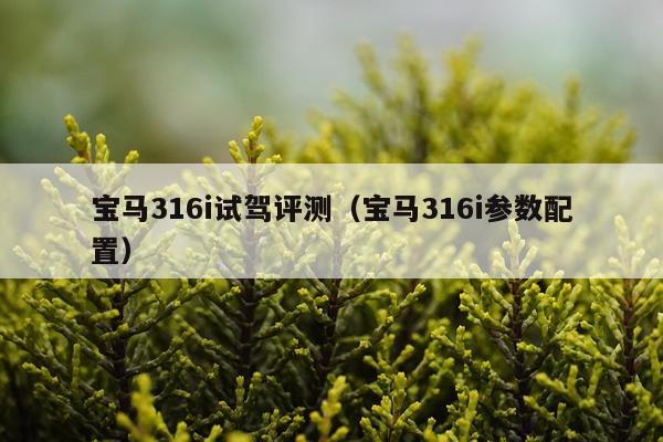 宝马316i试驾评测（宝马316i参数配置）
