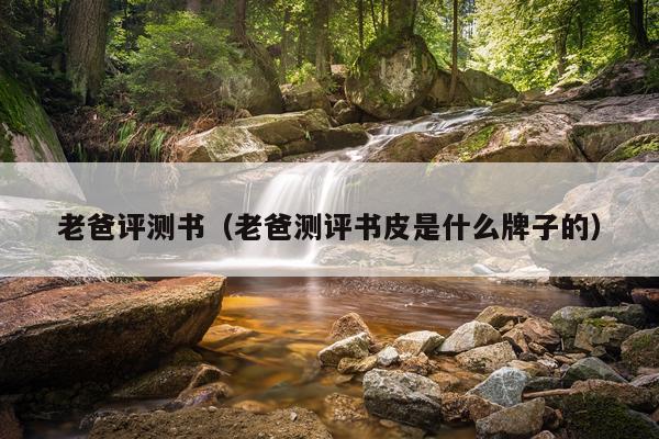 老爸评测书（老爸测评书皮是什么牌子的）