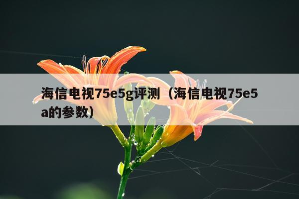 海信电视75e5g评测（海信电视75e5a的参数）