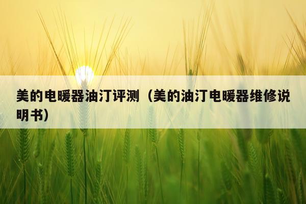 美的电暖器油汀评测（美的油汀电暖器维修说明书）