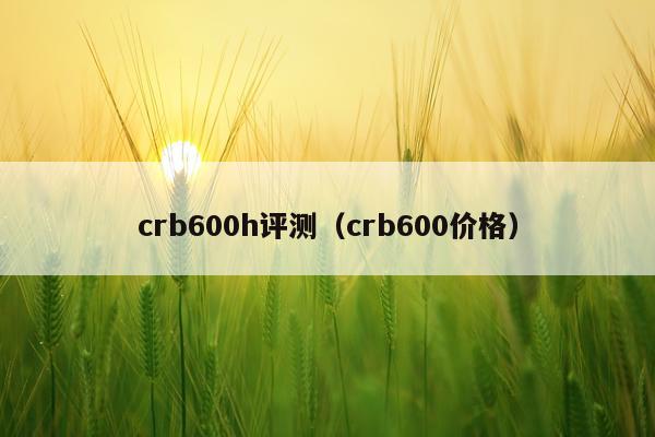 crb600h评测（crb600价格）
