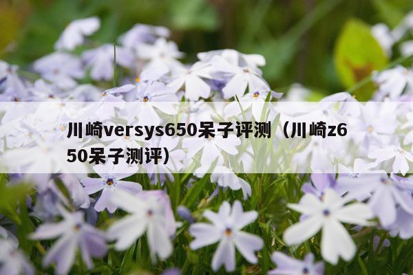 川崎versys650呆子评测（川崎z650呆子测评）