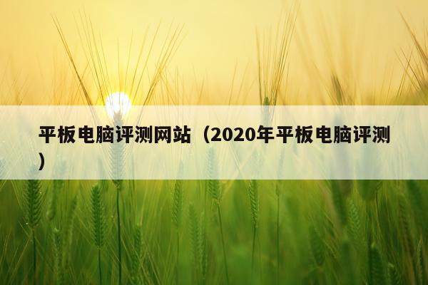 平板电脑评测网站（2020年平板电脑评测）