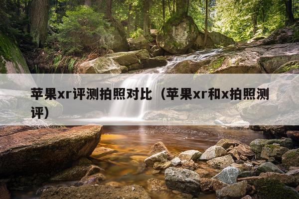 苹果xr评测拍照对比（苹果xr和x拍照测评）