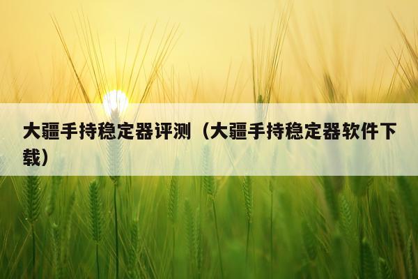 大疆手持稳定器评测（大疆手持稳定器软件下载）