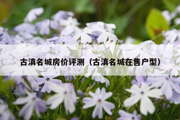古滇名城房价评测（古滇名城在售户型）