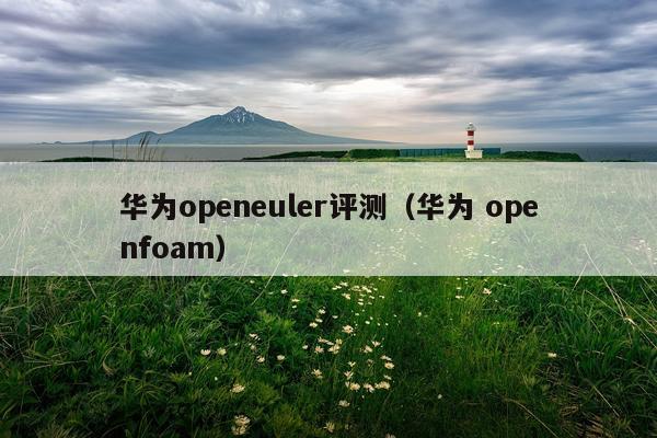 华为openeuler评测（华为 openfoam）