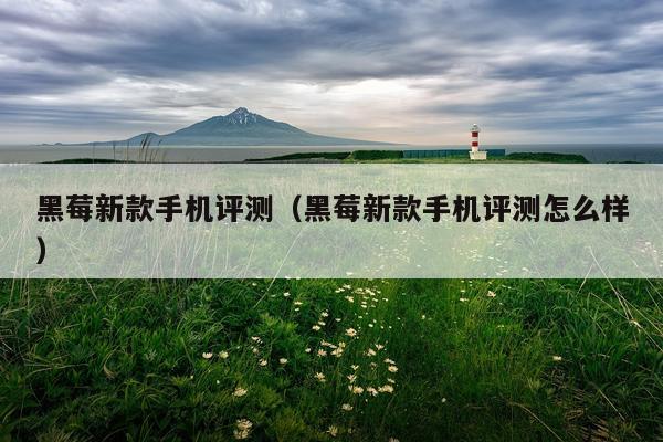 黑莓新款手机评测（黑莓新款手机评测怎么样）