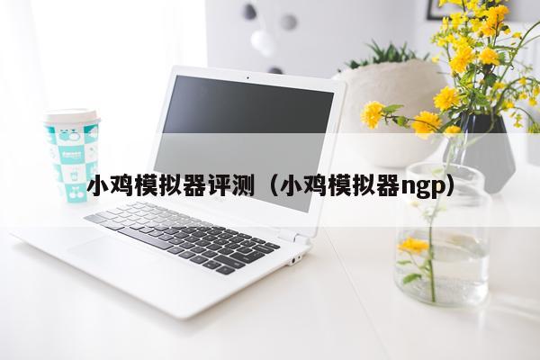 小鸡模拟器评测（小鸡模拟器ngp）